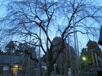130323-181949.JPG