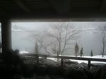 2011_0109_154600AA.JPG