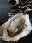 20130310-115625.jpg