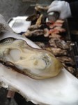 20130310-120417.jpg