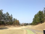 20130414-172206.jpg