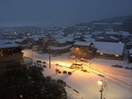 20140111-064753.jpg