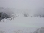 20140112-074741.jpg
