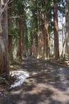 20150506-113525.JPG