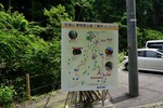 20150705-113015.JPG