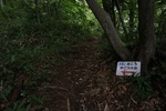 20150705-115714.JPG