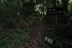 20150705-115914.JPG