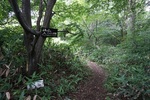 20150705-122347.JPG