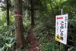 20150705-131134.JPG
