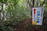 20150705-131351.JPG