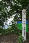 20150705-134637.JPG