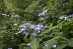 20150705-140049.JPG