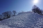 20160131-105417.JPG