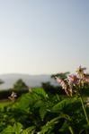 20160522-055255.jpg