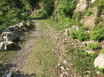 20160522-074313.jpg