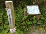 20160522-080059.jpg