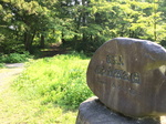 20160522-080801.jpg