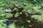 20160522-082620.jpg