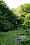 20160522-085036.jpg
