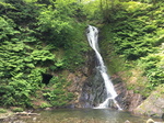 20160522-085133.jpg