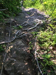20160522-085927.jpg