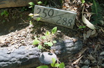 20160522-112438.jpg