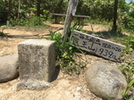 20160522-114523.jpg