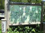20160522-130526.jpg