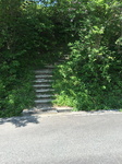 20160522-130600.jpg