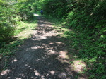 20160522-131045.jpg
