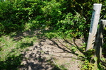 20160522-135002.jpg