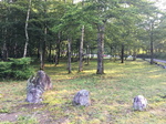 20160731061927.jpg