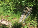 20160731093256.jpg