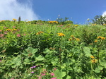 20160731095557.jpg
