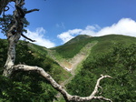 20160731100658.jpg