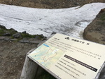 20160731133757.jpg
