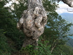 20160731160829.jpg