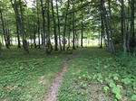 20160731172549.jpg