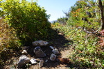20161016-101713.jpg