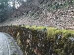 20170326-071555.JPG